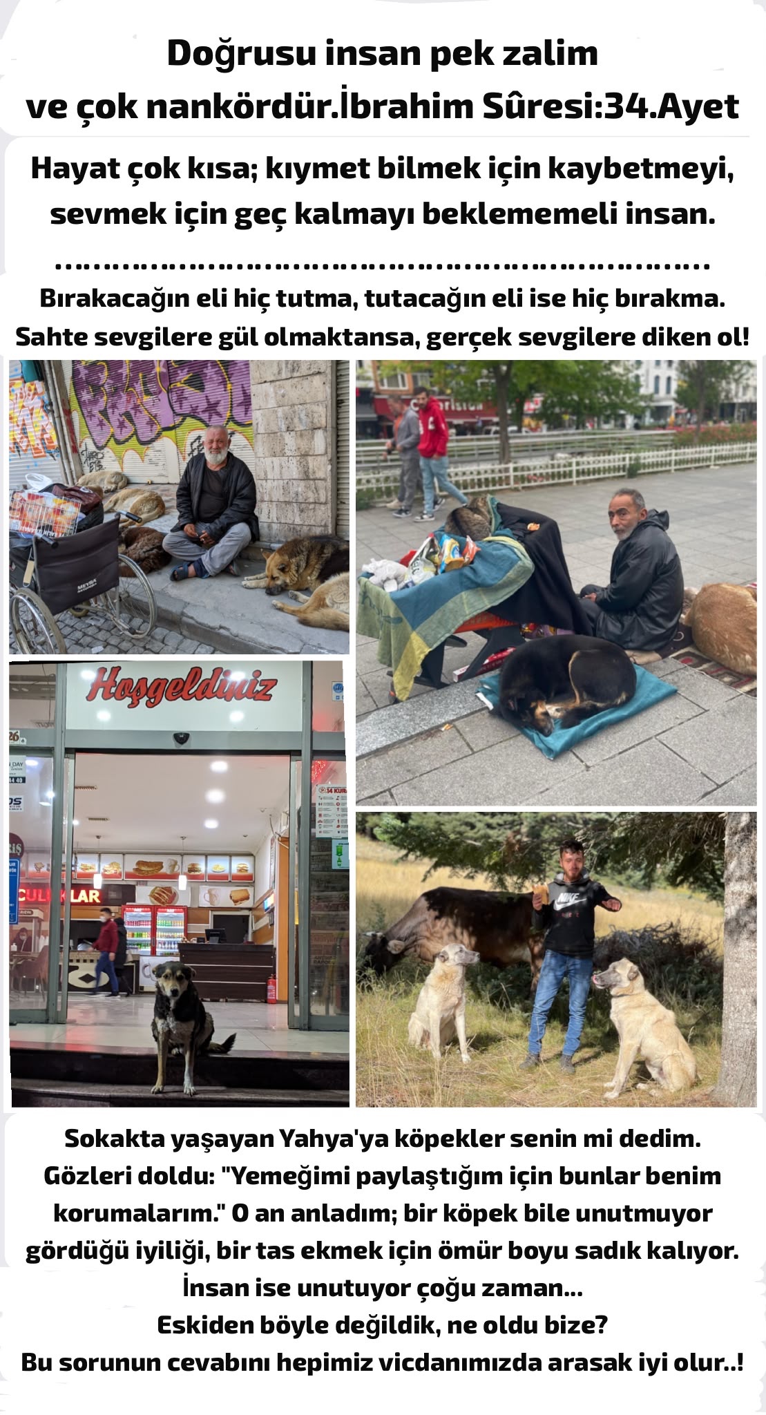 2026-09-25 tarihli yazıya eşlik eden görsel