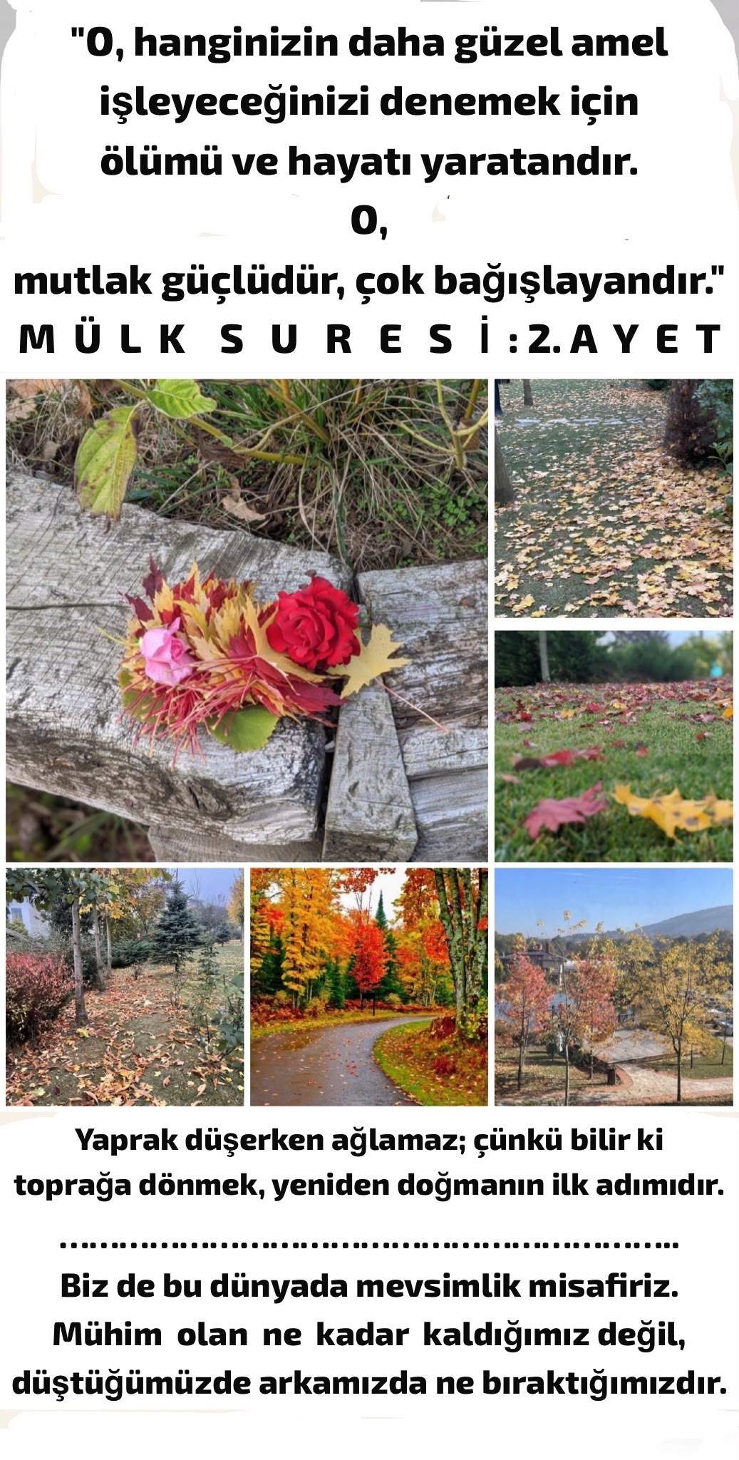 2026-10-13 tarihli yazıya eşlik eden görsel